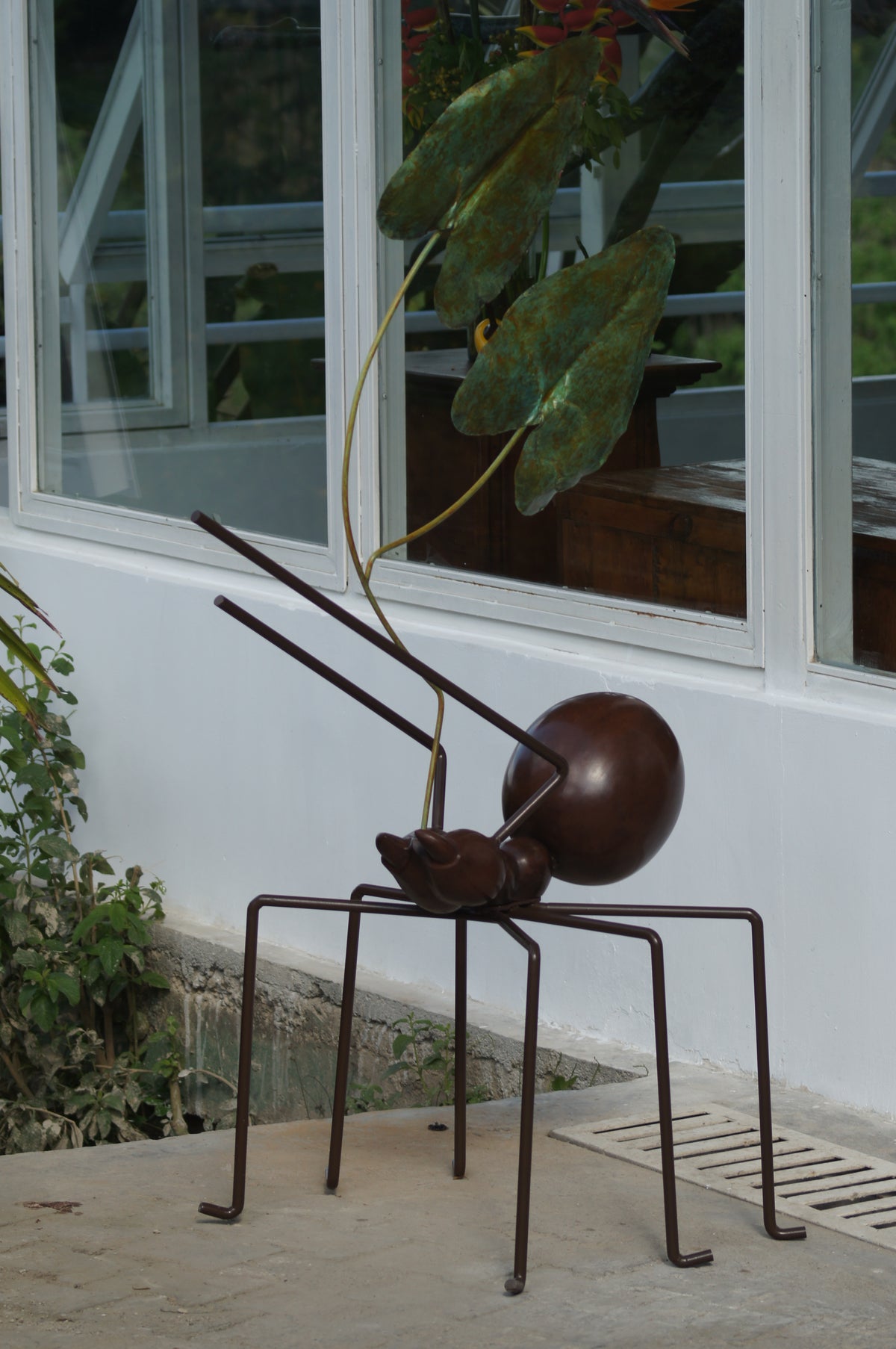 Hormiga Gigante