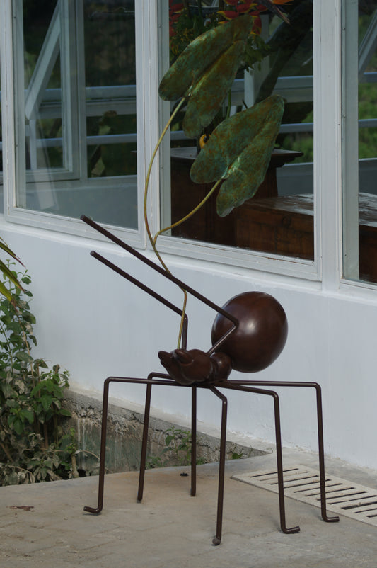 Hormiga Gigante