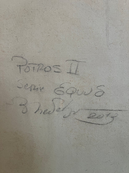 Potros II