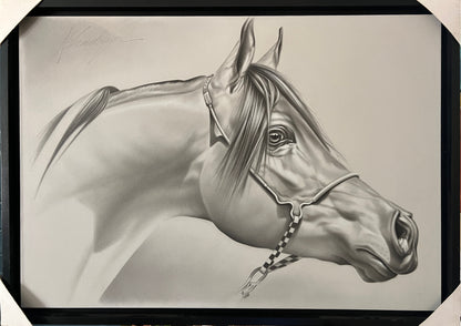 Caballo II