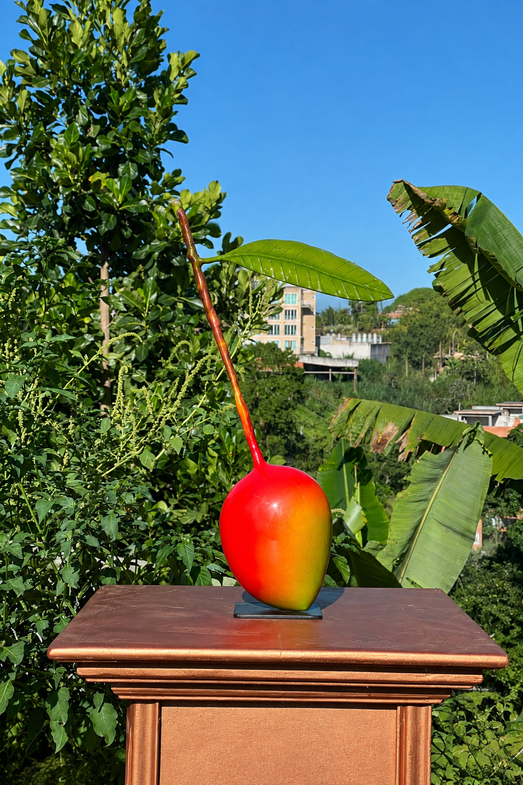 Mangos
